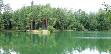 Ożarowskie „morskie oko” - perełka wśród lasów Nadleśnictwa Wieluń